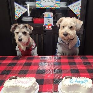 Meet your Posher, Chelle